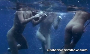 Three cuties swimming undressed in the sea